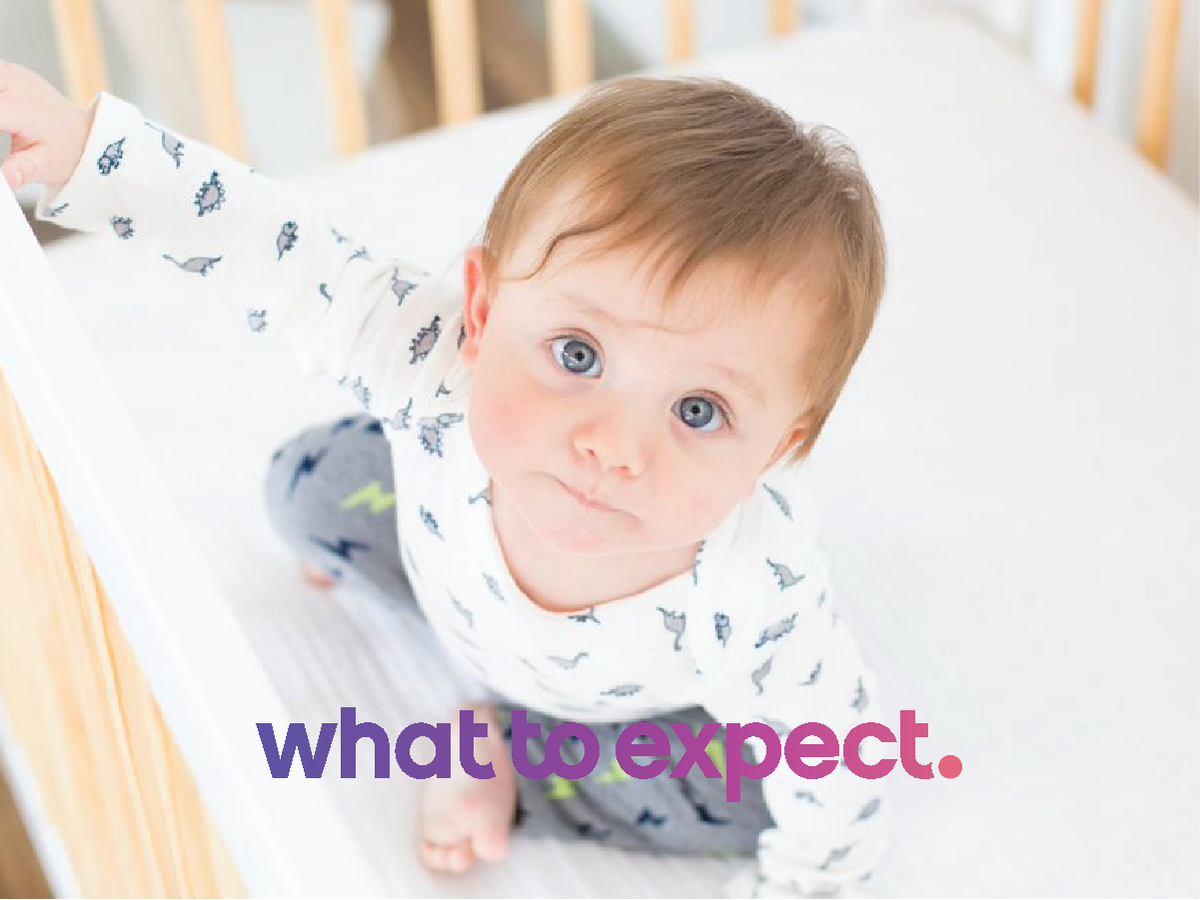 WHAT TO EXPECT The 10 Best Crib Mattresses for Baby Babyletto