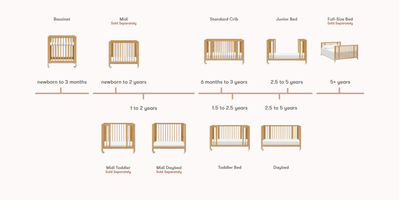 rolli timeline