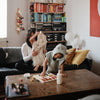 MPT-1003, Bear Poncho Towel