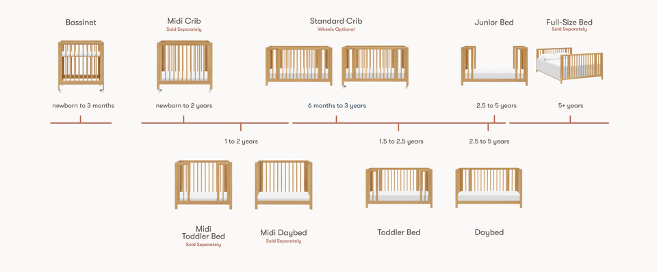 Rolli Timeline

    srcset=