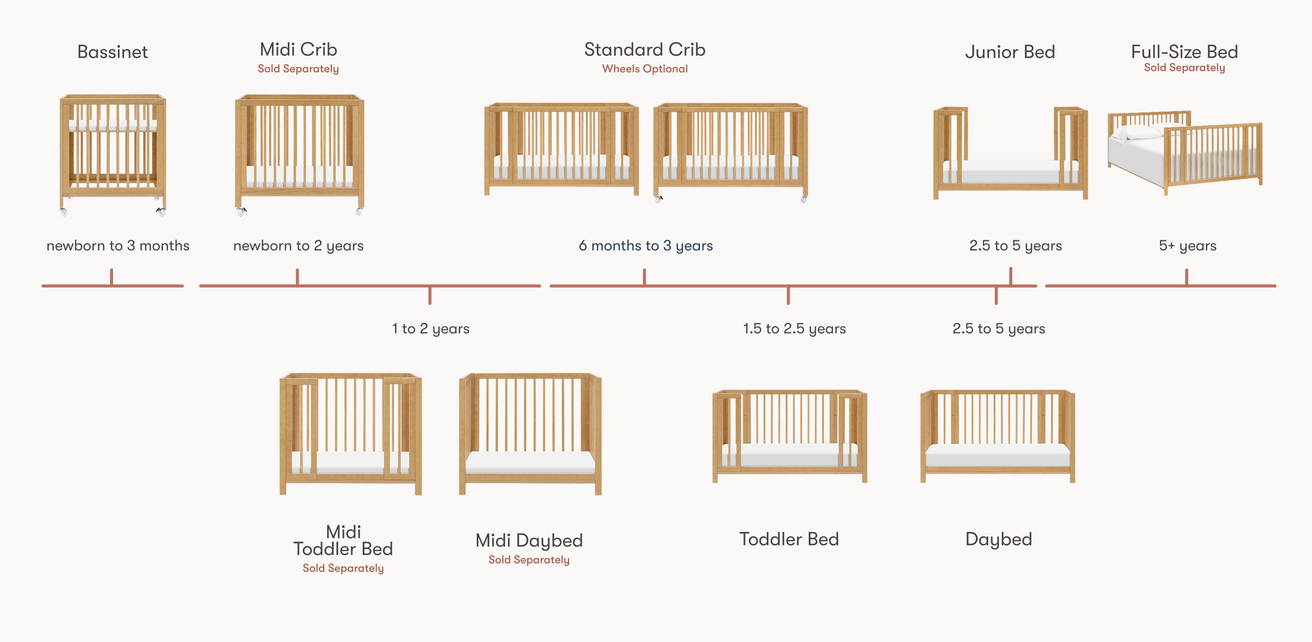 Rolli Timeline

    srcset=