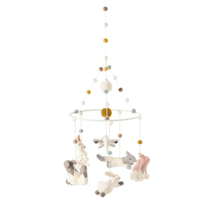 D2001194, Field of Dreams