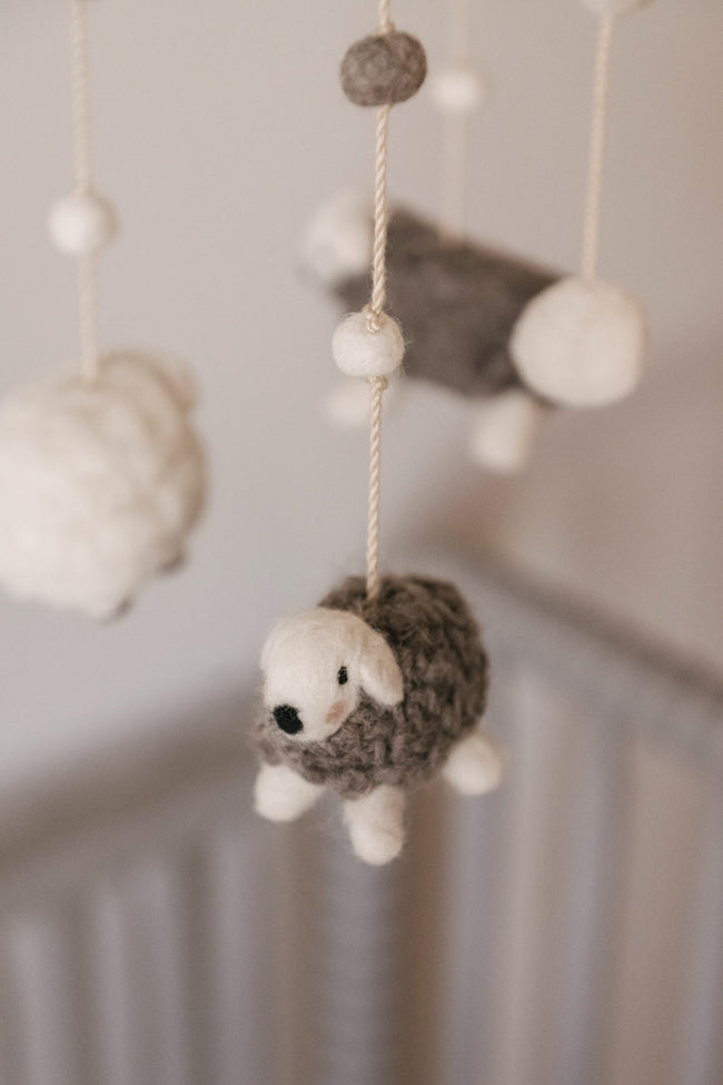 D2001349, Baa Baa Sheep