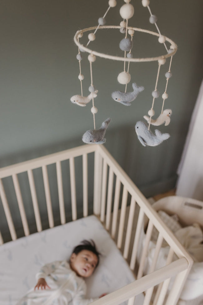 D200146, Follow Me Whale