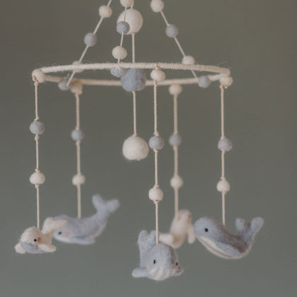 D200146, Follow Me Whale