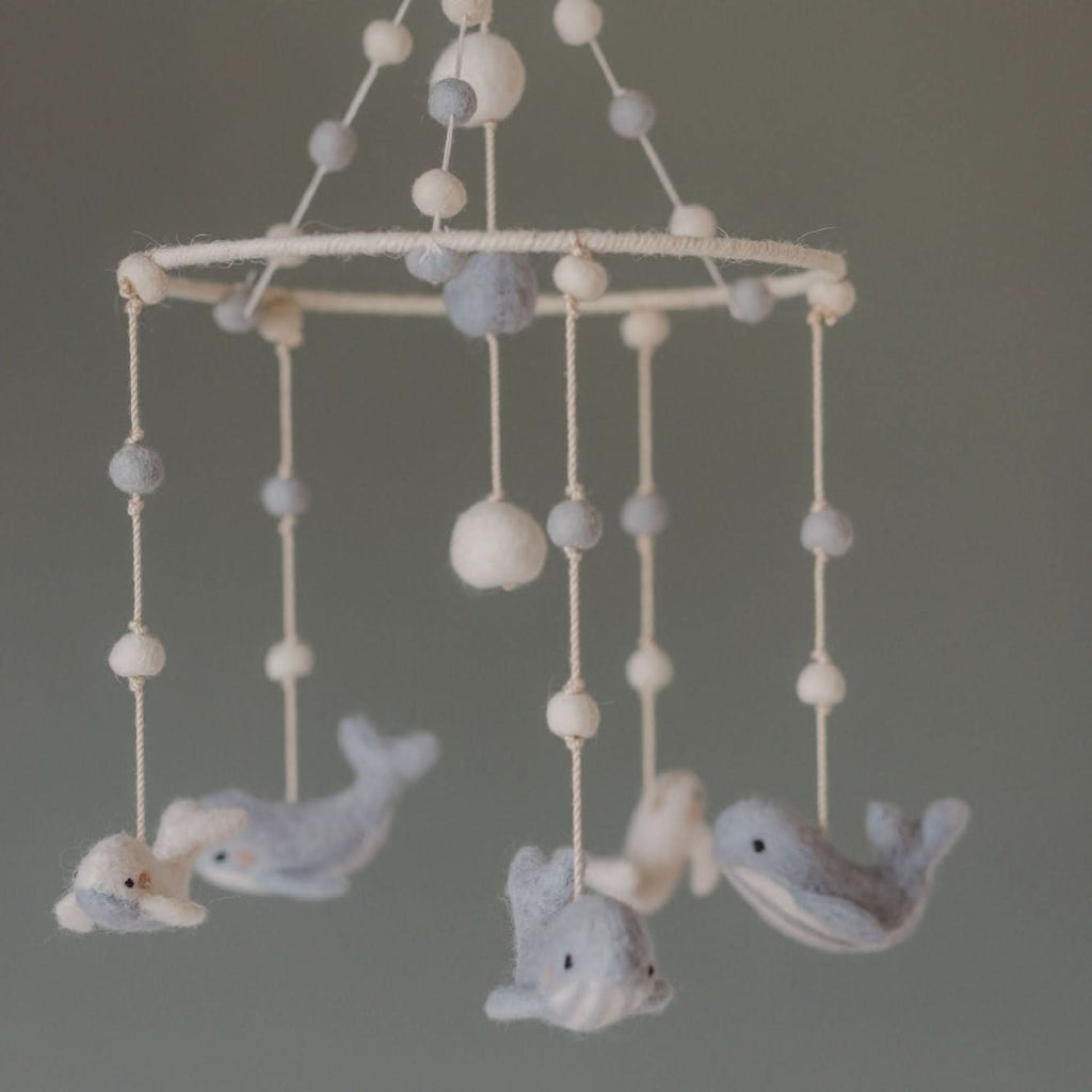 D200146, Follow Me Whale