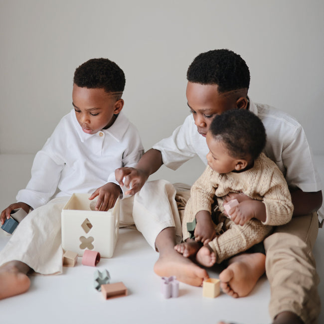 MSSB-1001, Mushie Shape Sorting Box