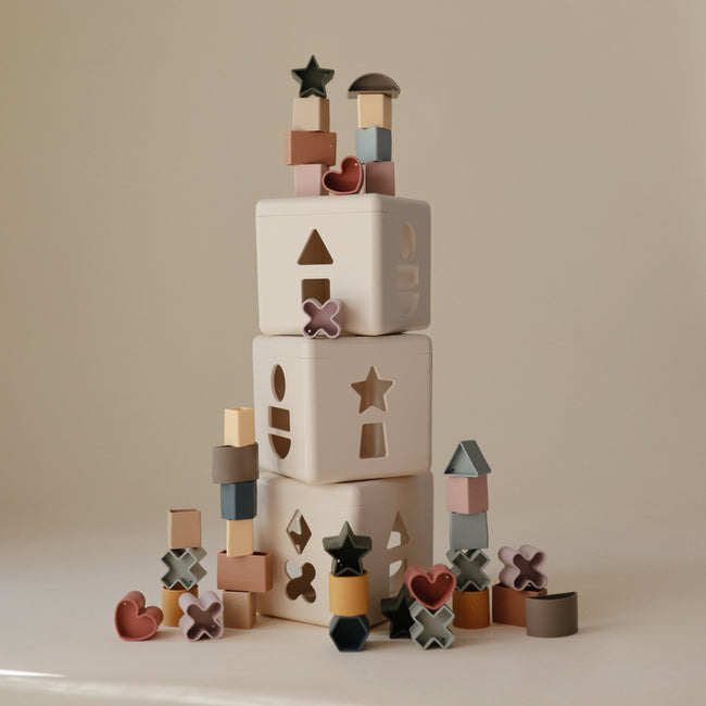 MSSB-1001, Mushie Shape Sorting Box