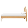 M25969HYNC,Babyletto Kids,Bondi Cane Twin Bed in Honey