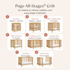 M29880HY,Babyletto,Pogo 8-in-1 Convertible Crib w/ Bassinet & Toddler Bed Kits in Honey