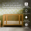 M30880HY,Babyletto,Rolli 9-in-1 Convertible All-Stages® Crib w/ Bassinet & Toddler Bed Kits in Honey