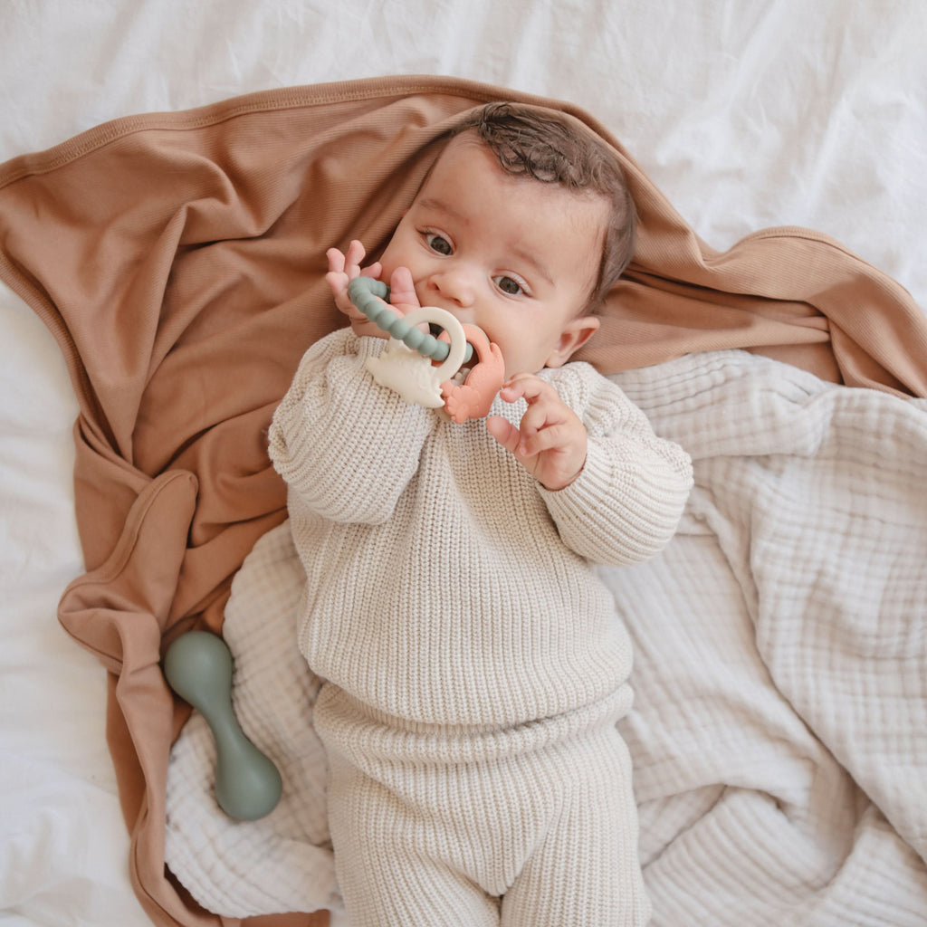 MTR-102, Dino Teething Ring