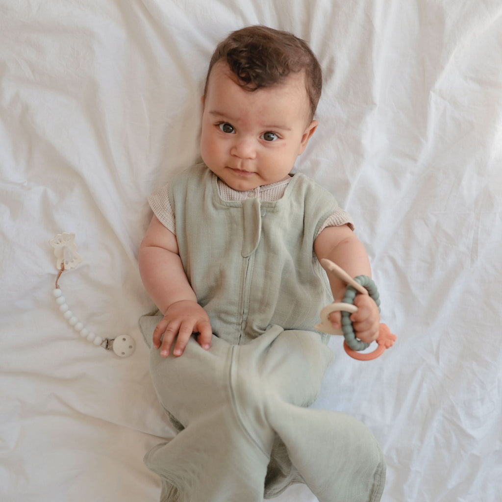 MTR-102, Dino Teething Ring