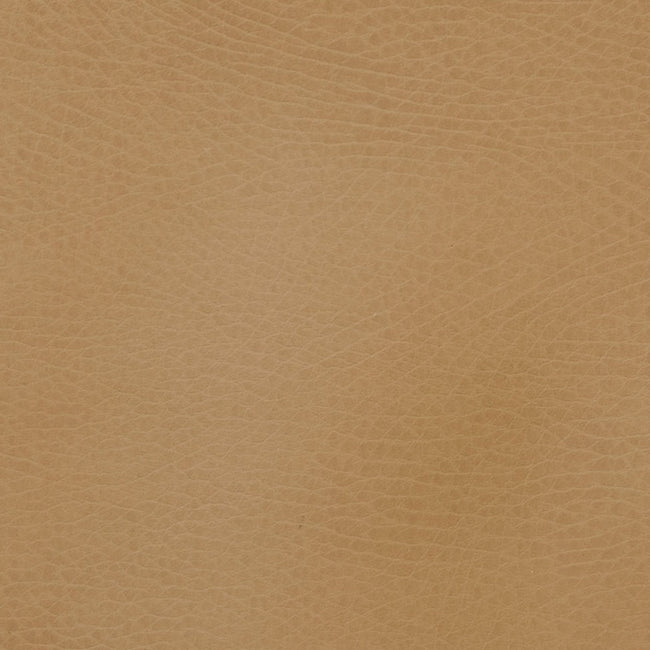 GPADMICPLUCAM, Camel