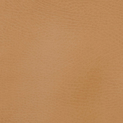 GCADMEDCAM, Camel