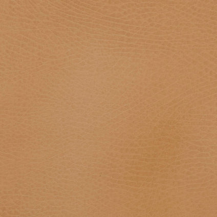 GCADMEDCAM, Camel