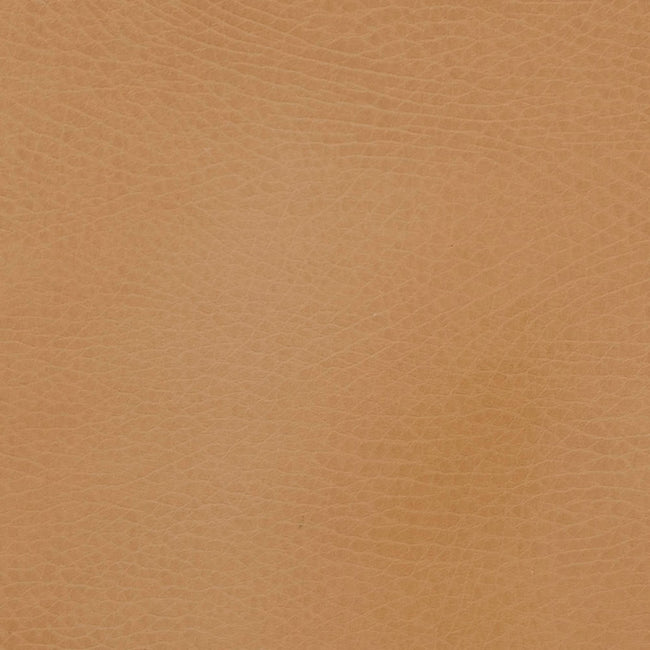 GMICCAM, Camel