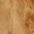 Clear Acrylic with Burl