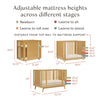M15980HY,Babyletto,Palma 8-in-1 Convertible All-Stages® Crib w/ Bassinet & Toddler Bed Kits in Honey