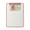 babyletto x Avocado Organic Mini Crib Mattress