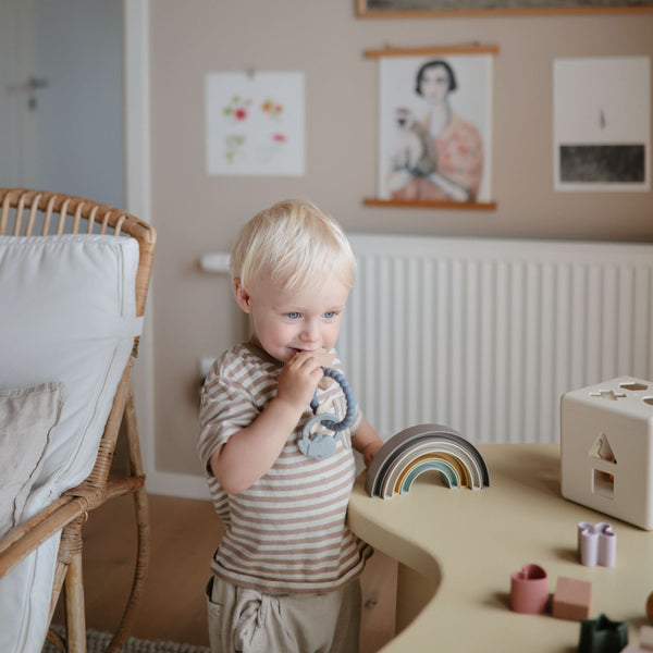 MTR-101, Space Teething Ring