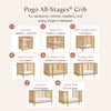 M29880HY,Babyletto,Pogo 8-in-1 Convertible Crib w/All-Stages Conversion Kits in Honey