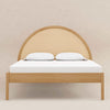 M25996HYNC,Babyletto Kids,Bondi Cane Full Bed in Honey
