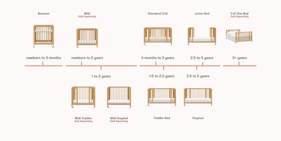 rolli timeline