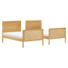 M25994HYNC,Babyletto Kids,Bondi Cane Convertible Bunk Bed in Honey