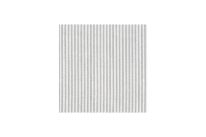 Fabric Swatch