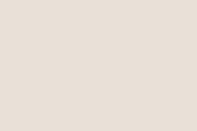 SWATCH221,Nursery Works,NURSERY WORKS - Ivory Wood (IB) SWATCH