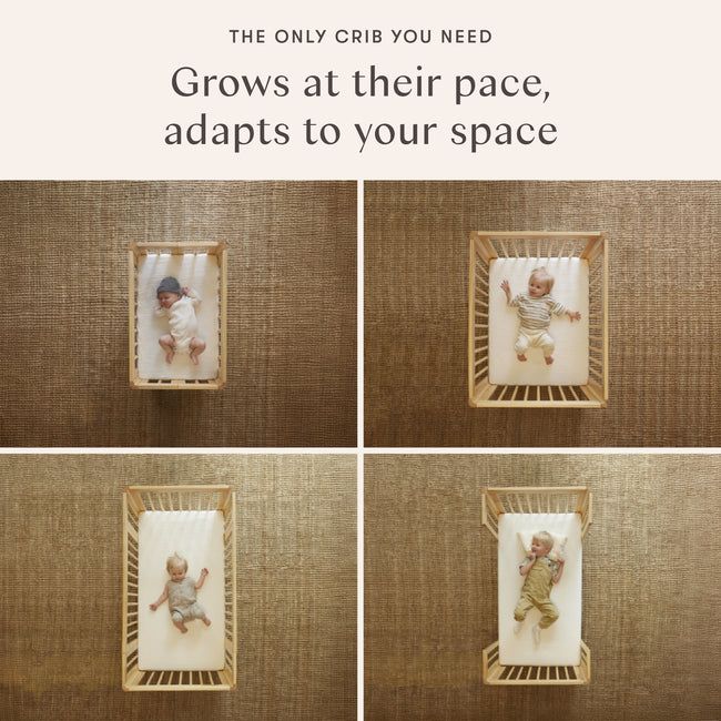 M23401W,Babyletto,Yuzu 8-in-1 Convertible Crib w/All-Stages Conversion Kits in White