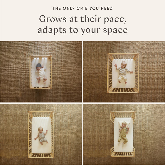 M23401HY,Babyletto,Yuzu 8-in-1 Convertible Crib w/All-Stages Conversion Kits in Honey