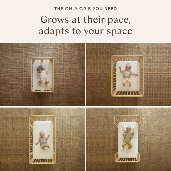 M23401NXB,Babyletto,Yuzu 8-in-1 Convertible Crib w/All-Stages Conversion in Washed Natural/Black