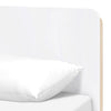 M18469WNX,Babyletto Kids,TipToe Twin Bed in White and Washed Natural